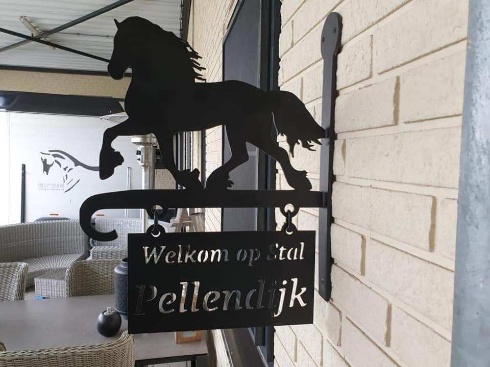 Luxe Gastenkamer Met Living En Keuken Bij Friezen Paarden Stal Pellendijk Westendorp Luaran gambar