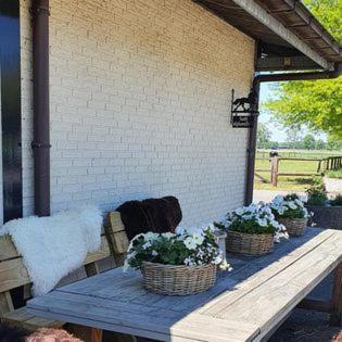 Luxe Gastenkamer Met Living En Keuken Bij Friezen Paarden Stal Pellendijk Westendorp Luaran gambar
